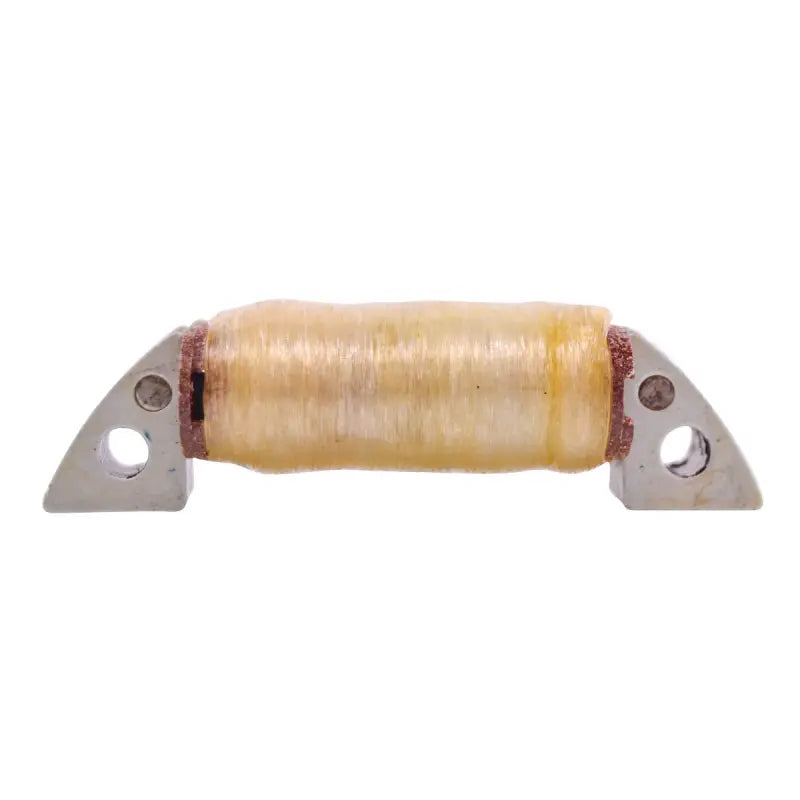 Stator Ignition Source Coil - RM STATOR