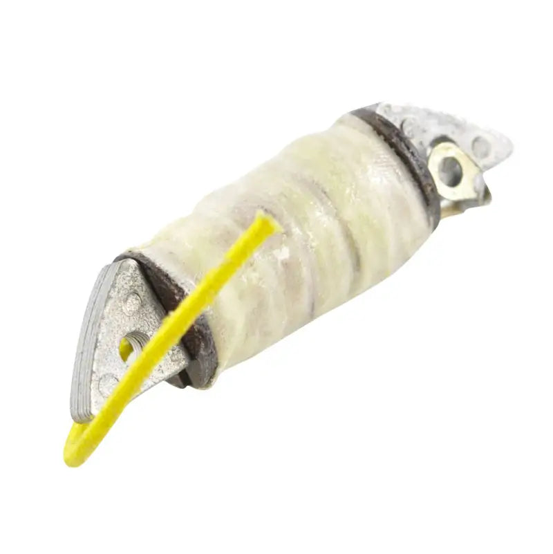 Stator Ignition Source Coil - RM STATOR