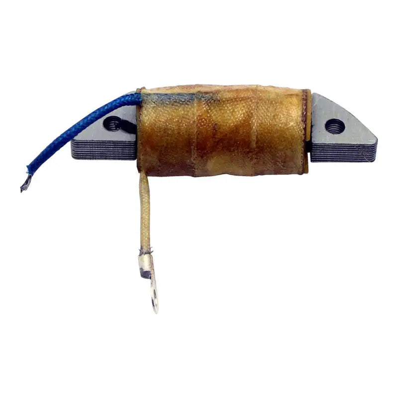 Stator Ignition Source Coil - RM STATOR