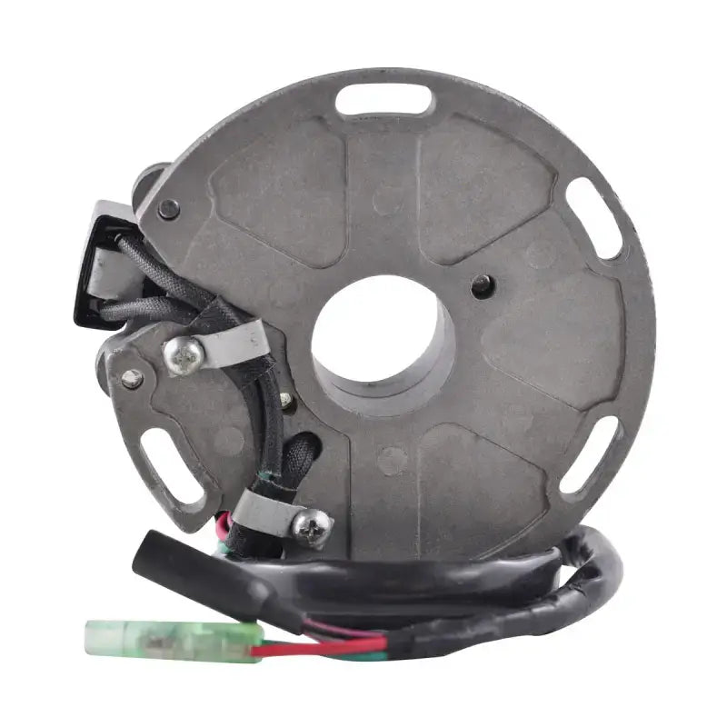 Stator Stator+Pickup+Back Plate - RM STATOR