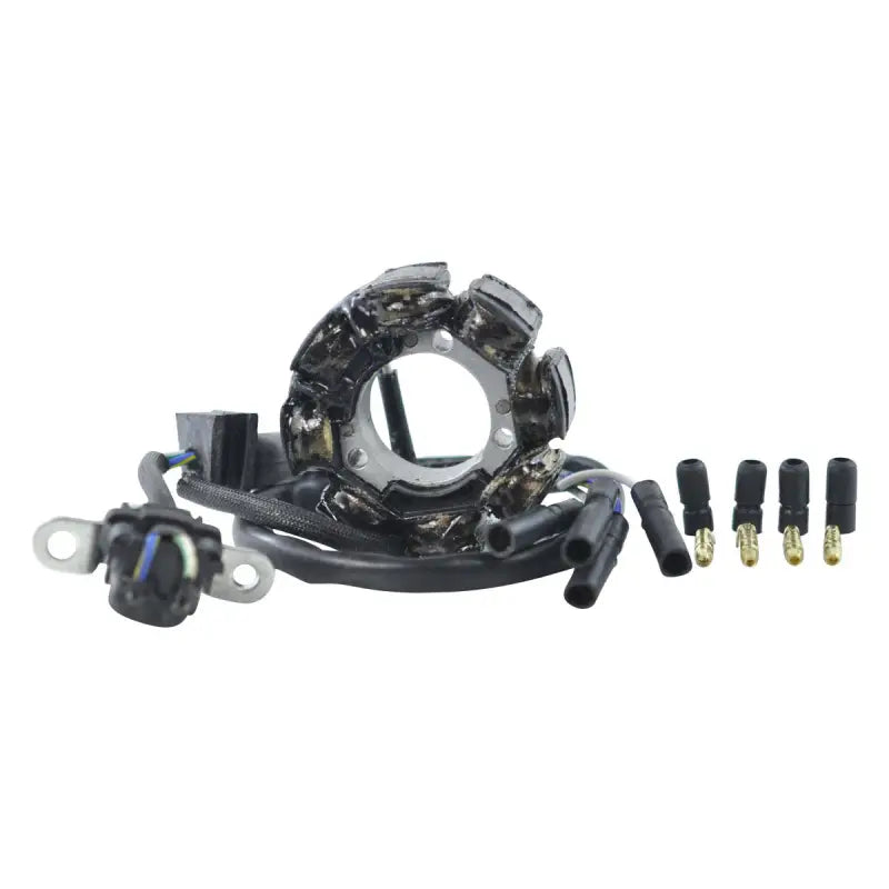 Stator Stator+Pickup+Connector - RM STATOR