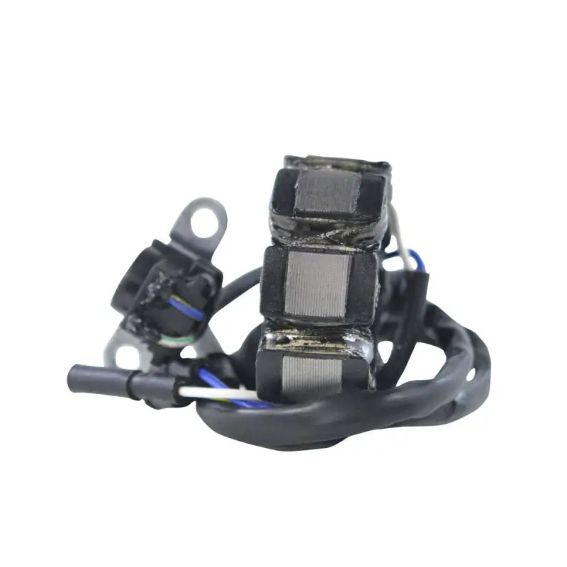 Stator Stator+Pickup+Connector - RM STATOR