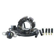 Stator Stator+Pickup+Connector - RM STATOR