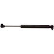 D4699 Liftgate Lift Support