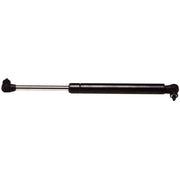 D4699 Liftgate Lift Support