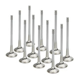 Shiny metal Supertech Audi APB Inconel Nimonic exhaust valves set of 12