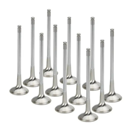 Shiny metal Supertech Audi APB Inconel Nimonic exhaust valves set of 12