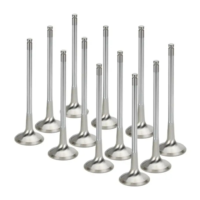 Shiny metal Supertech Audi APB Inconel Nimonic exhaust valves set of 12