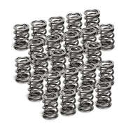 Supertech SPR-H1005D-24 Supertech BMW M50/M52/S50/S52 Dual Valve Spring - Set of 24