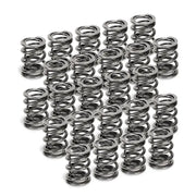 Supertech BMW M50/M52/S50/S52 Dual Valve Spring - Set of 24 - Truck & Automotive