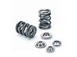Supertech Supertech Honda B16/B18C Dual Valve Spring Kit (w/Titanium Retainers)