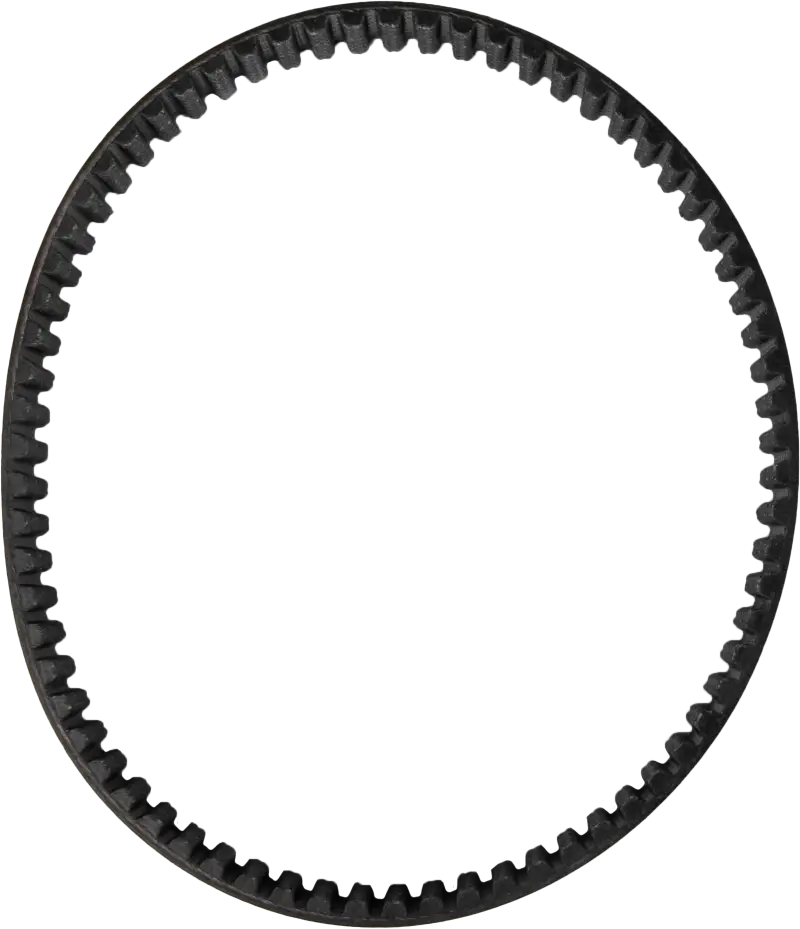 Drive Belt Surron - DAYCO