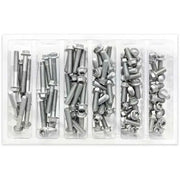 SV-M6EURO M6 Euro Torx Flange Bolt Assortment 100 Piece Kit
