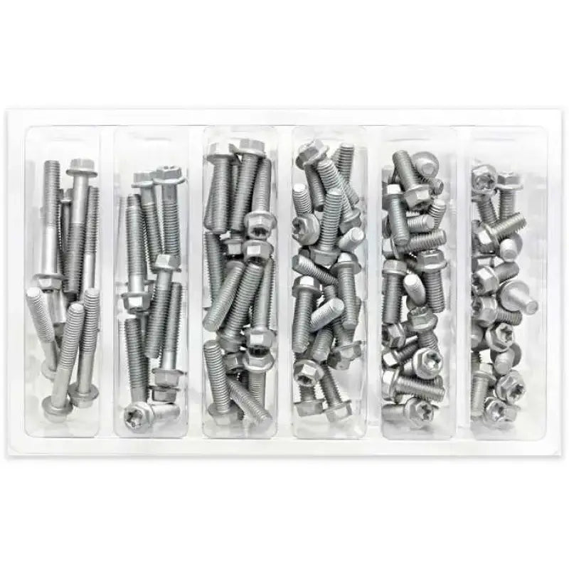 SV-M6EURO M6 Euro Torx Flange Bolt Assortment 100 Piece Kit