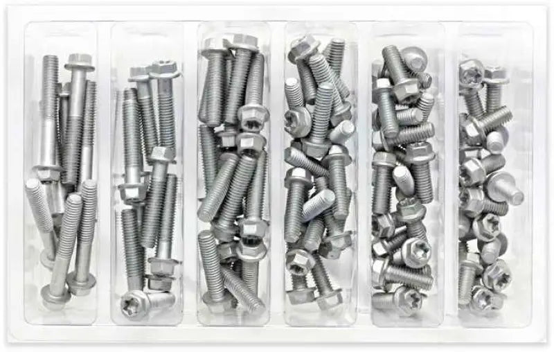 SV-M6EURO M6 Euro Torx Flange Bolt Assortment 100 Piece Kit