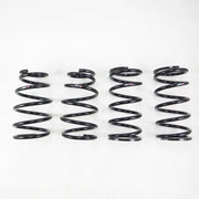 RS-R T027D T027D RS-R 2020 Toyota Corolla Sedan Down Sus Springs