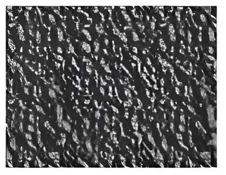 T1501 Grip Tape
