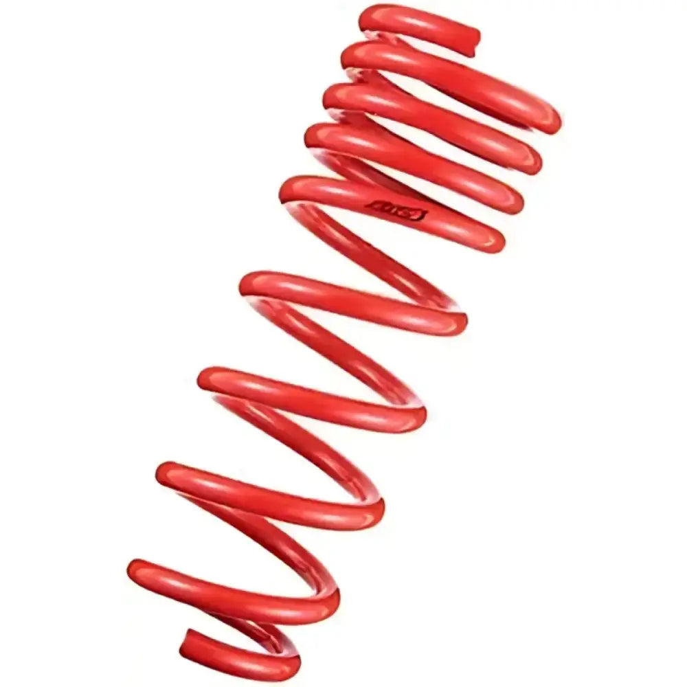 Tanabe DF210 Springs 06-07 GS300 - TDF112 - Suspension