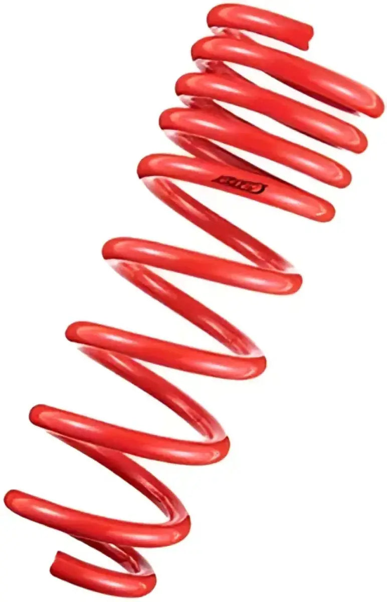 Tanabe DF210 Springs 10-10 Prius - TDF153