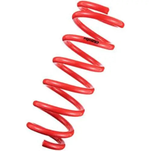 Tanabe TNF170 Tanabe NF210 Springs 13-16 Lexus GS350 RWD/AWD 2013 GS450H F-Sport RWD - TNF170