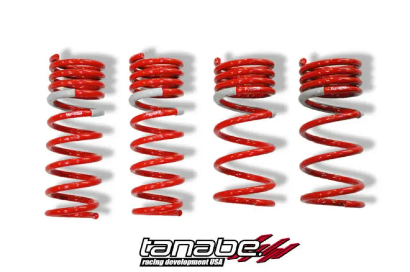 Tanabe NF210 Springs 13-16 Lexus GS350 RWD/AWD 2013 GS450H F-Sport RWD - TNF170 - Suspension