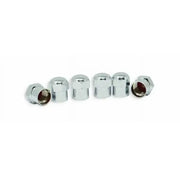 TM22313VP Valterra Tireminder Heavy Duty - Valve Stem Cap