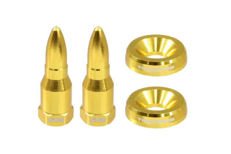 LPH005GD License Plate Mounting Hardware