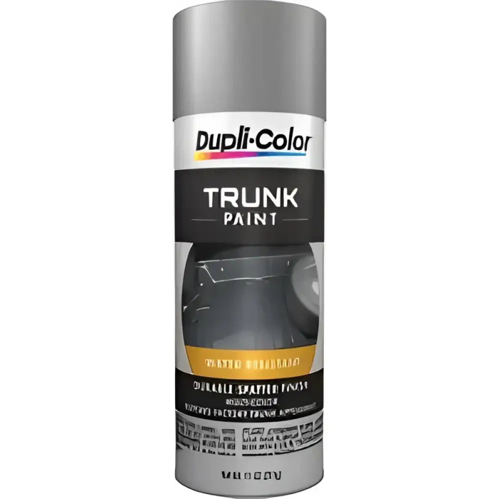 TSP100 Paint