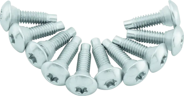 Twin Power 01-17 Softail Models 02-07 FLH FLHT Fuel Pump Plate Screw Kit Replaces H-D 1311D - RV and Auto Parts