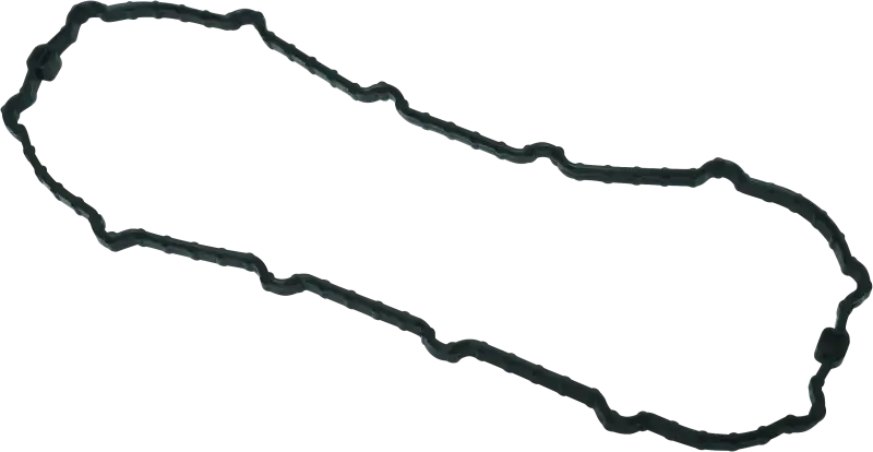 Twin Power 04-13 Dyna Models Fuel Pump Plate Seal Viton Replaces H-D 75245-04A - RV and Auto Parts