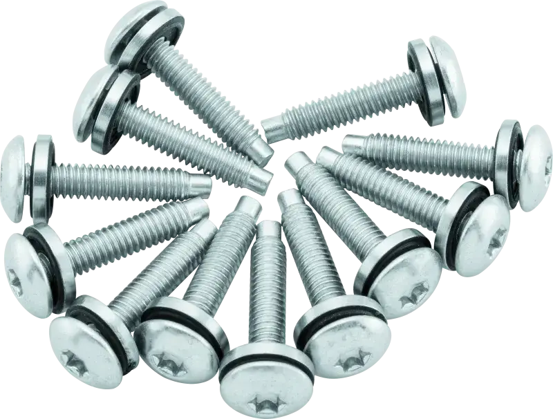 Twin Power 04-17 Dyna Models Fuel Pump Plate Screw Kit Replaces H-D 1311 - RV and Auto Parts