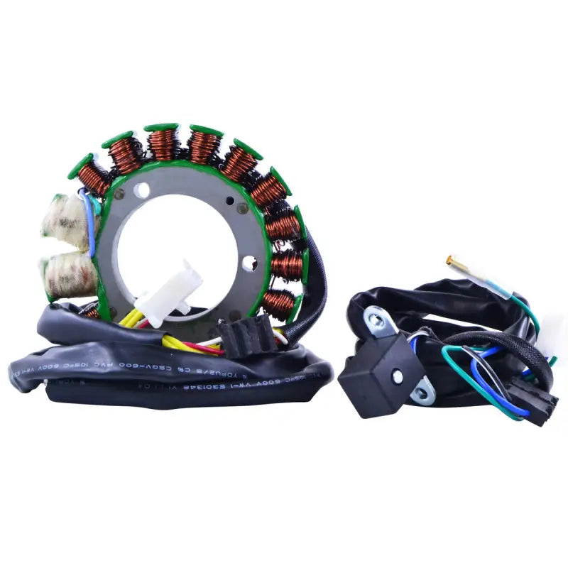 Stator Stator+Pickup+Connector - RM STATOR