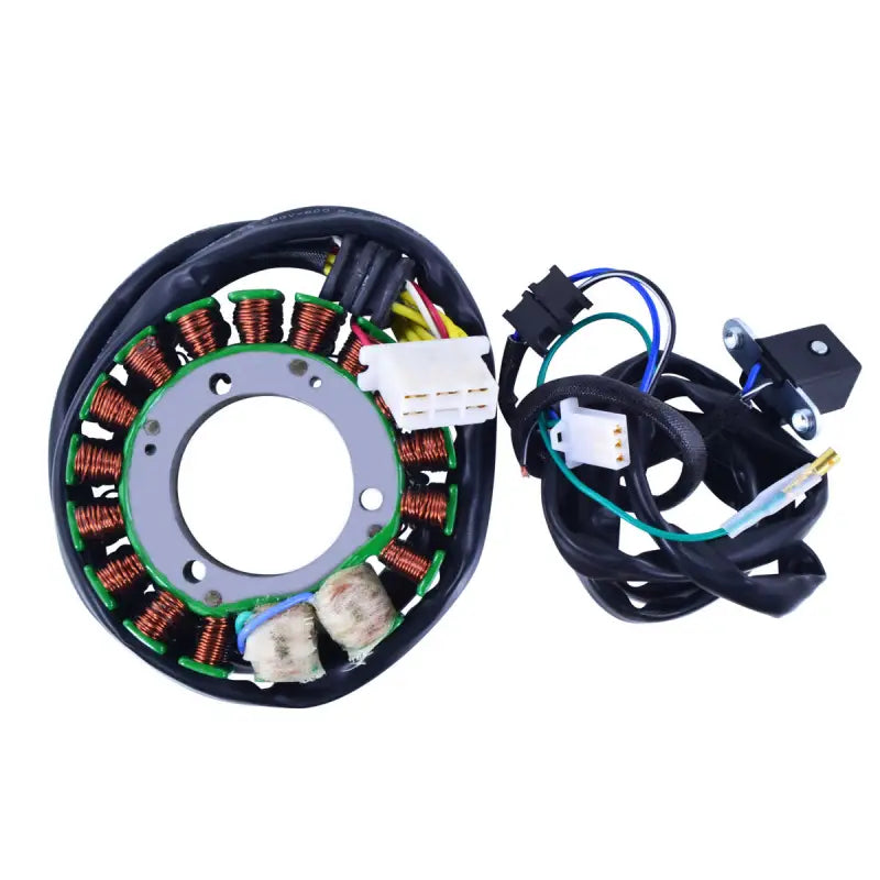 Stator Stator+Pickup+Connector - RM STATOR
