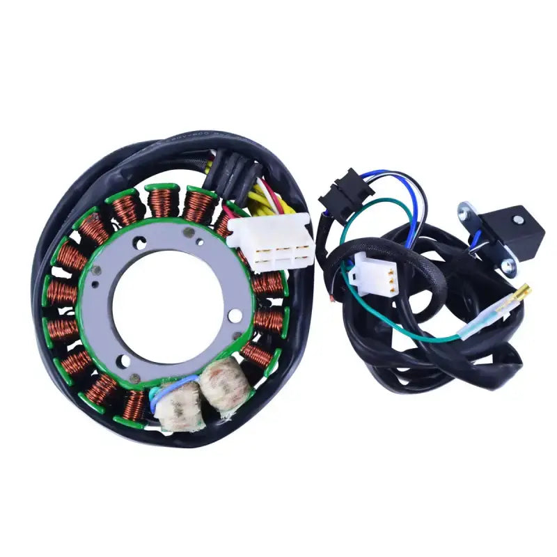 Stator Stator+Pickup+Connector - RM STATOR