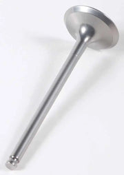 WISECO VET005