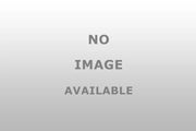 888460 Auto Trans Fluid