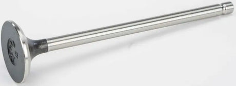 VES024 Exhaust Valve