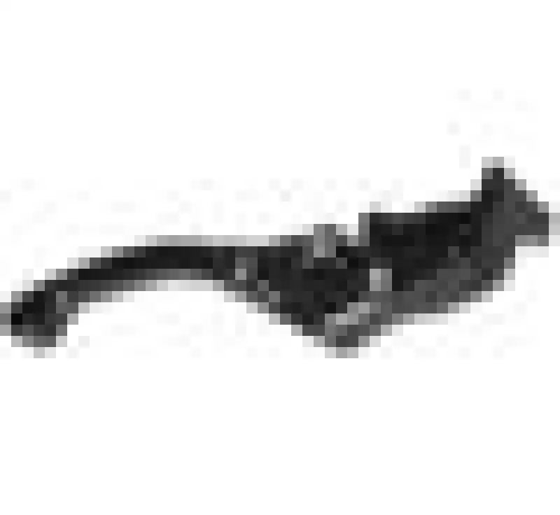 Vortex Racing H-L201 F25 Brake Lever Short- Black - Vortex Racing