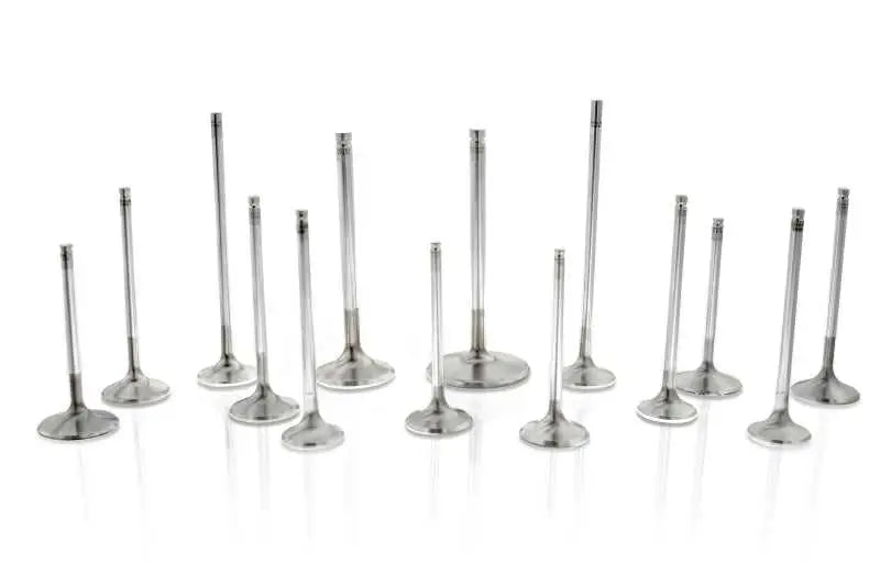 Ferrea VS1015 Ferrea Subaru EJ20 6mm Viton Hi-Temp Exhaust Valve Stem Seal - Set of 8