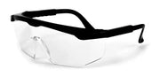W1031 Safety Glasses