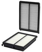 WA10271 Air Filter