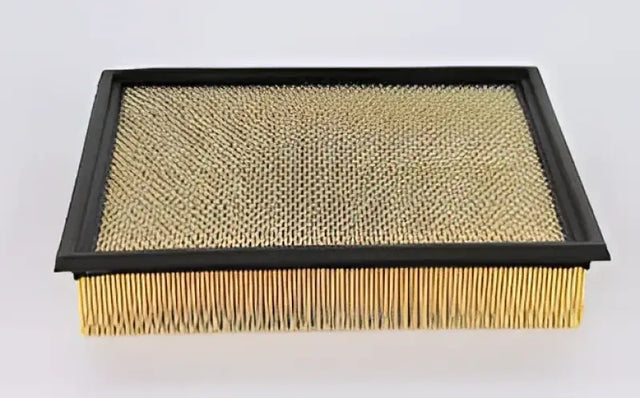 WA10906 Air Filter