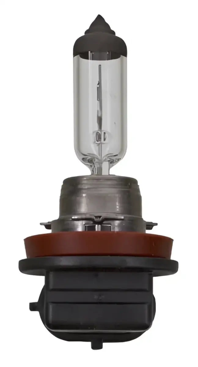 1219/H16 Driving/ Fog Light Bulb