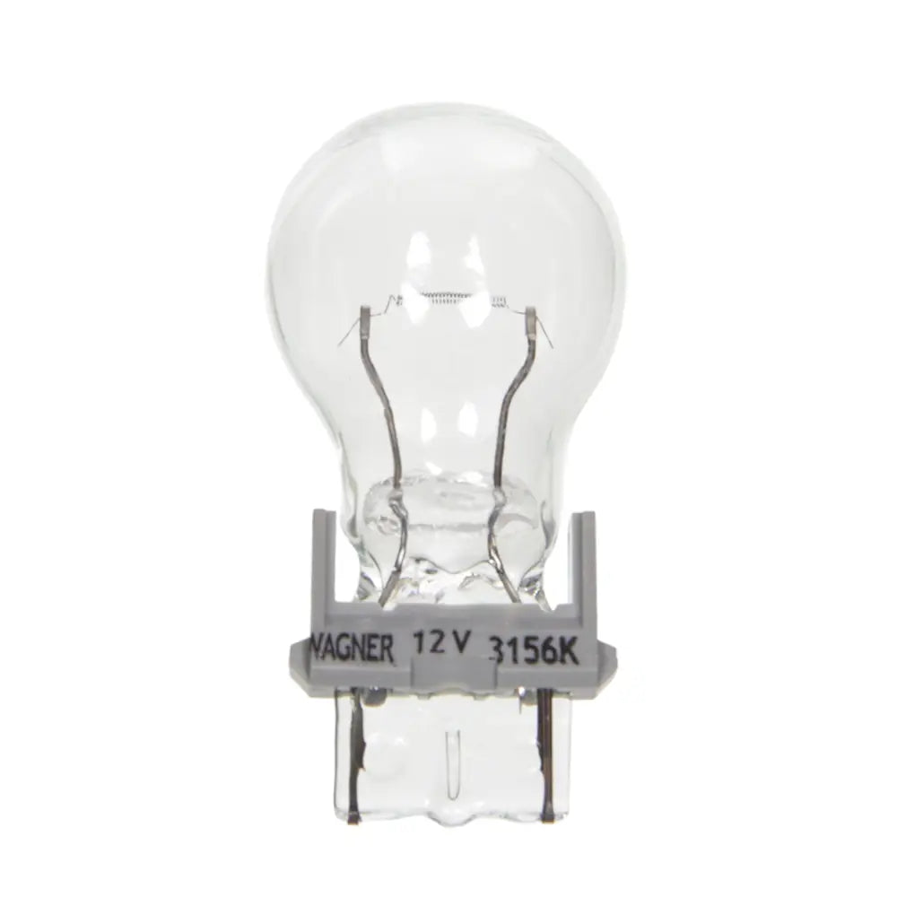 Wagner SAE Compliant Backup Light Bulb BP3156LL - Miniature Long Life