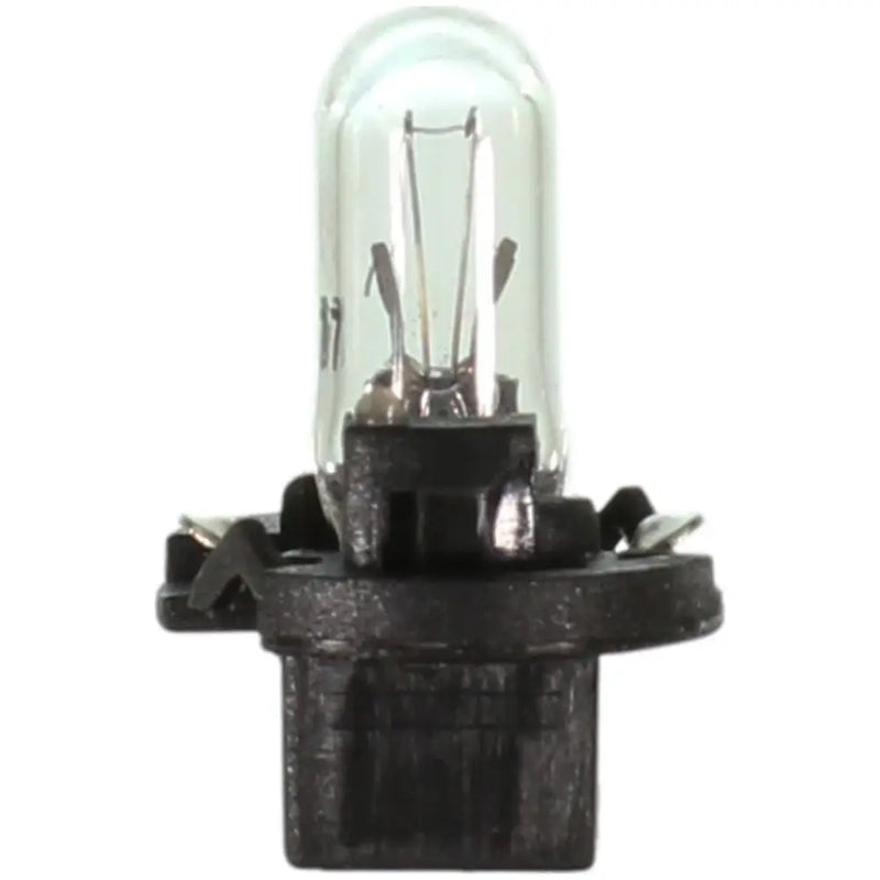 Wagner SAE Compliant Instrument Panel Light Bulb PC37 - Miniature