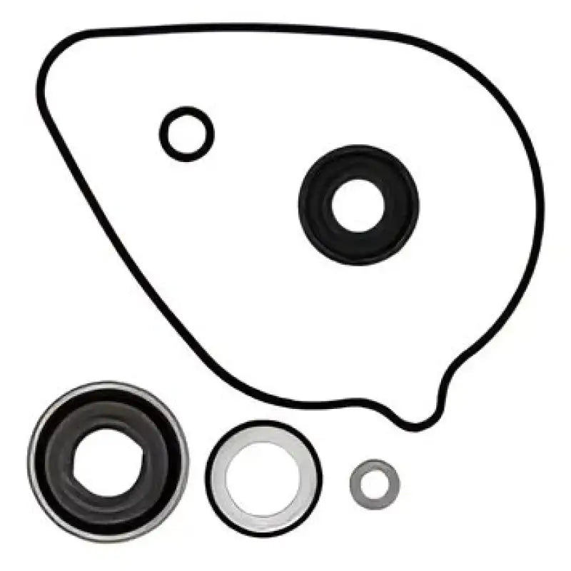 VERTEX Water Pump Rebuild Kit