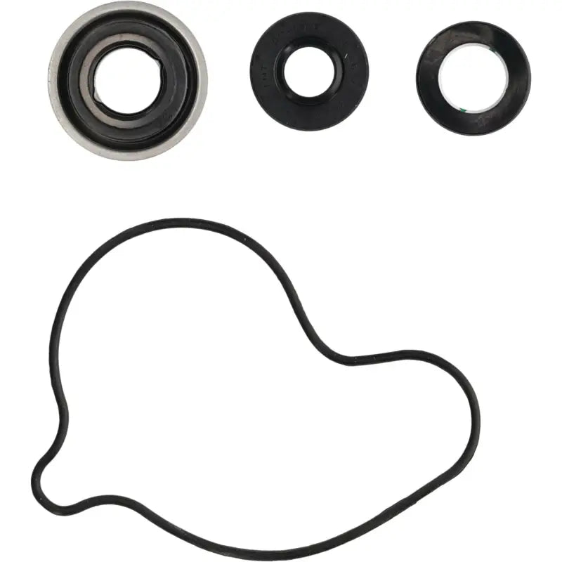 Water Pump Rebuild Kit 