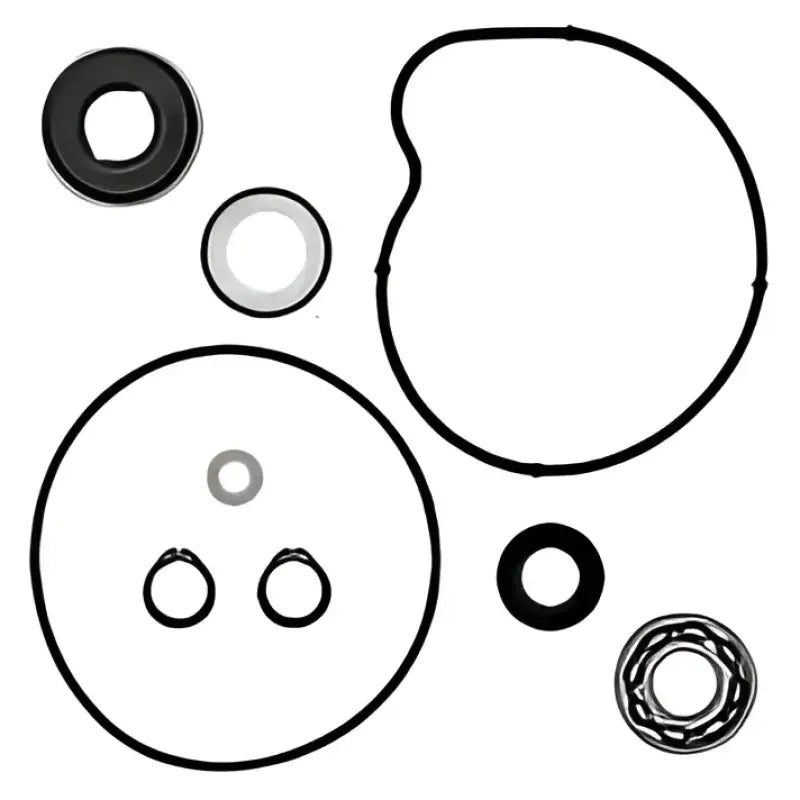 VERTEX Water Pump Rebuild Kit