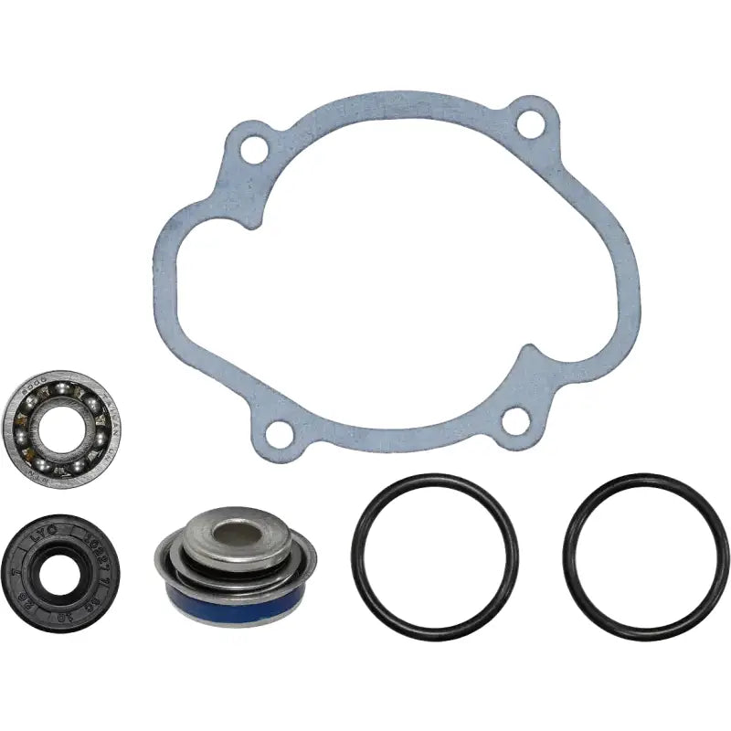 SP1 Water Pump Repair Kit S D