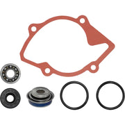 SP1 Water Pump Repair Kit S D